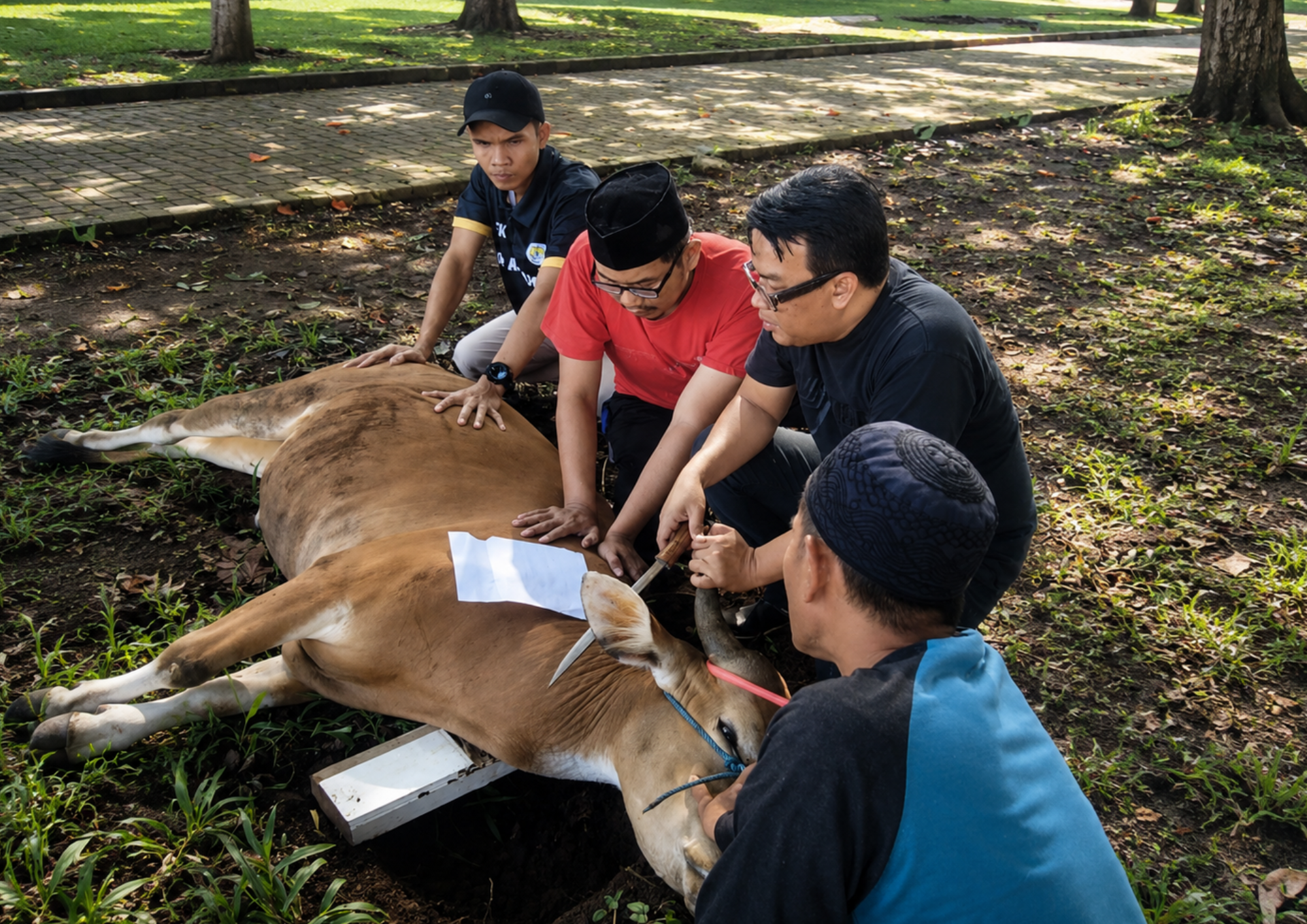 Qurban sebagai Ruang Belajar dan Berbagi di Yayasan Yarham dan Sekolah Al Ma’moen